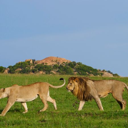 Nkomazi Game Reserve Badplaas Esterno foto