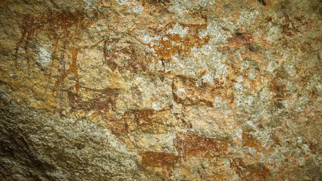 Nkomazi Game Reserve Badplaas Esterno foto