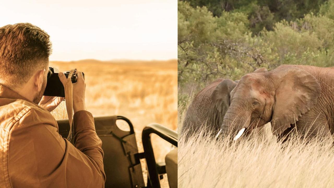 Nkomazi Game Reserve Badplaas Esterno foto