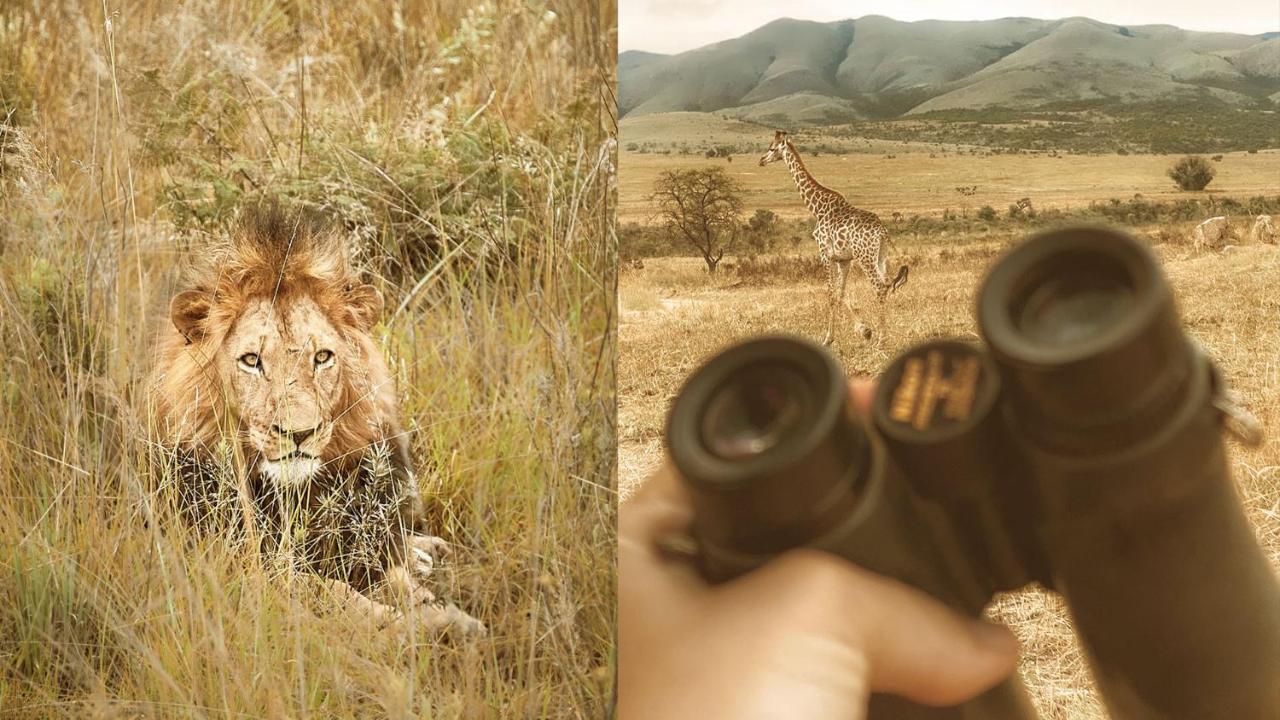 Nkomazi Game Reserve Badplaas Esterno foto