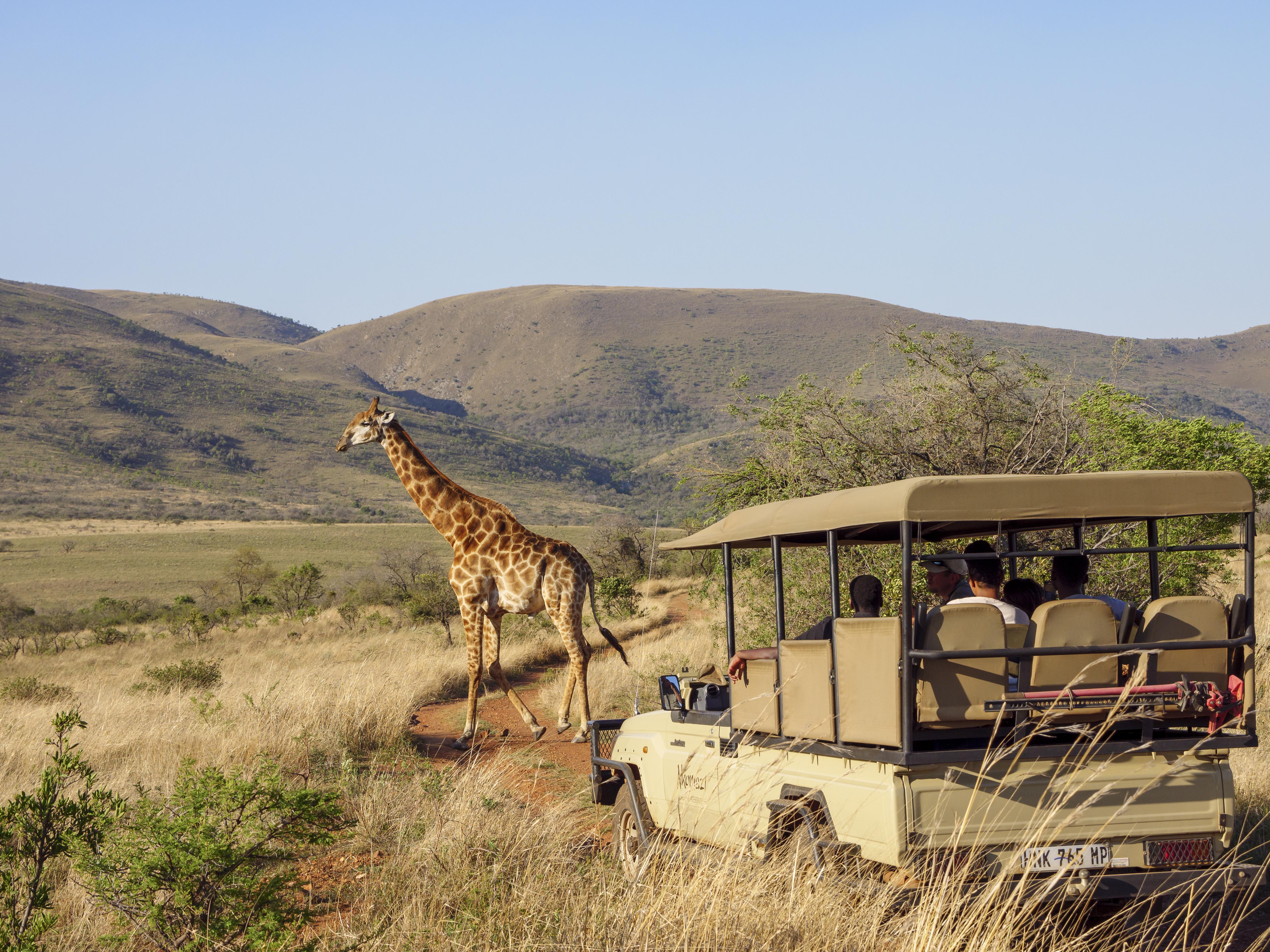 Nkomazi Game Reserve Badplaas Esterno foto